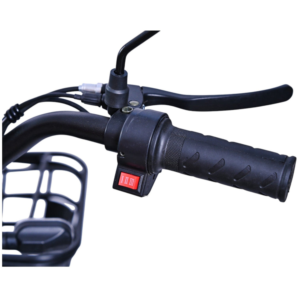 Verdeto E-bike, Elektični bicikl