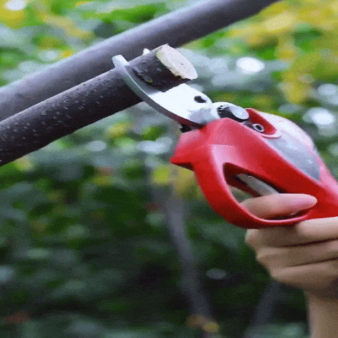 Električne makaze za orezivanje voća 21v + dve baterije