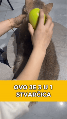 3u1 četka, masažer i ovlaživač za ljubimce - Parna četka za ljubimce