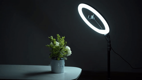 Ring Light sa podesivim stalkom - Svetlo za slikanje - Selfie Ring