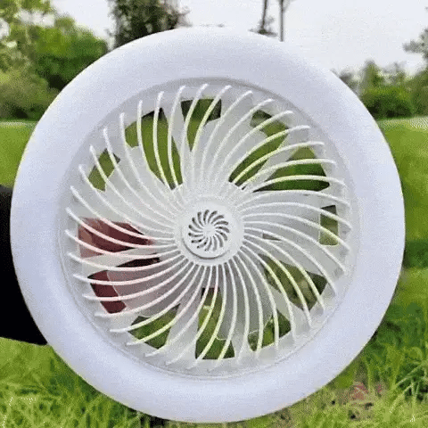 Luster ventilator, Plafonski ventilator sa lampom