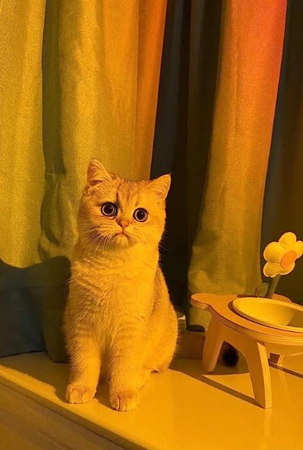 SunSet Lampa sa efektom zalaska sunca - Topopusti